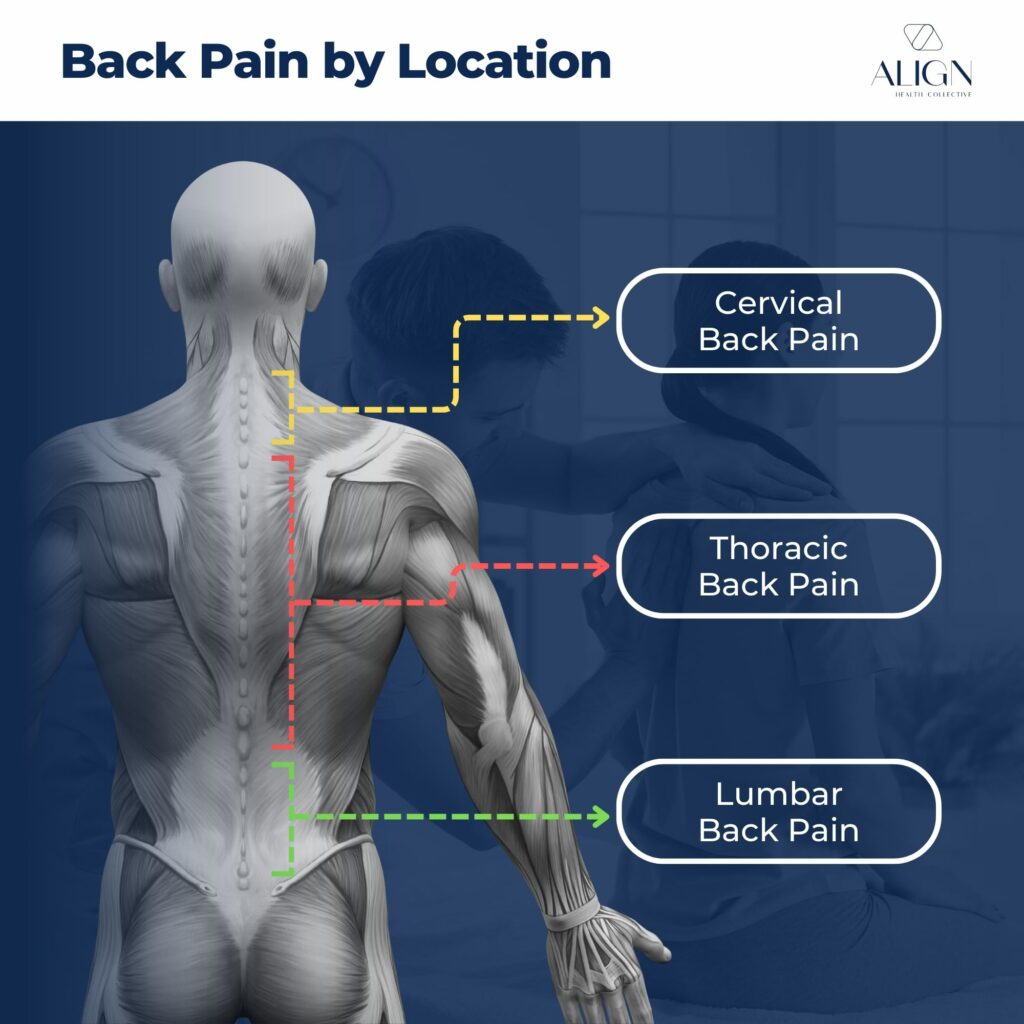 Types of back pain